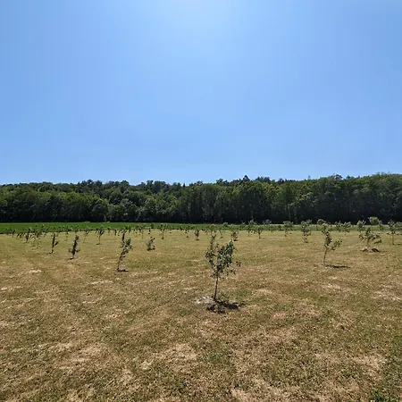 Gite Charmant Pour 6 Avec Terrasse, Jardin Et Wifi, Proche De Bar-le-duc Et Nancy - Fr-1-585-98 Casa vacanze *